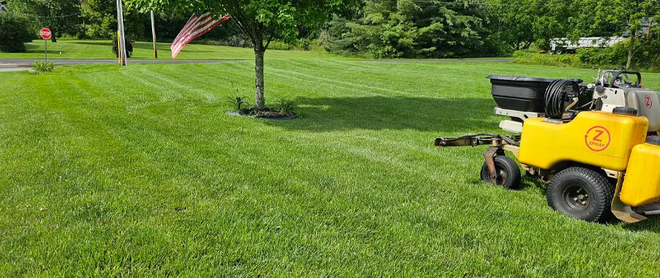 weed control by Fresh Cuts Lawn and Maintenance