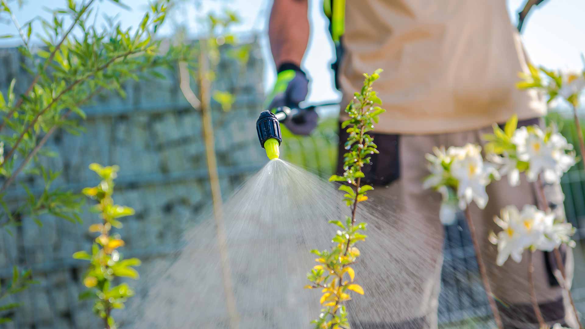 Weed Control Services in Allentown, Macungie, & Orefield, Pennsylvania