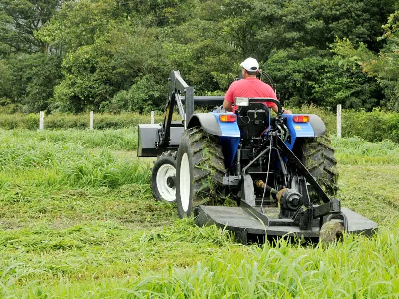 Brush Hogging Service